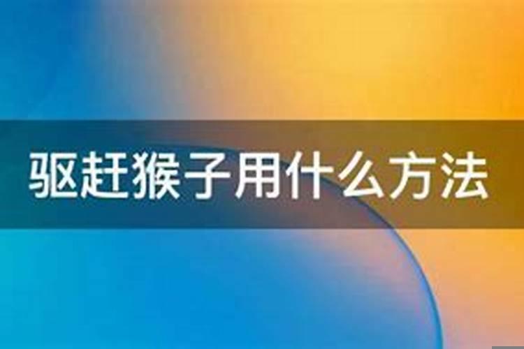 驱赶猴子用什么东西