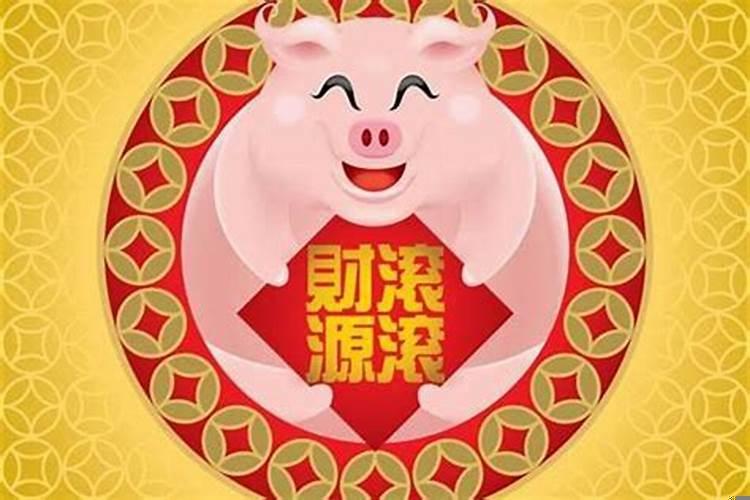 属猪和属啥的和财