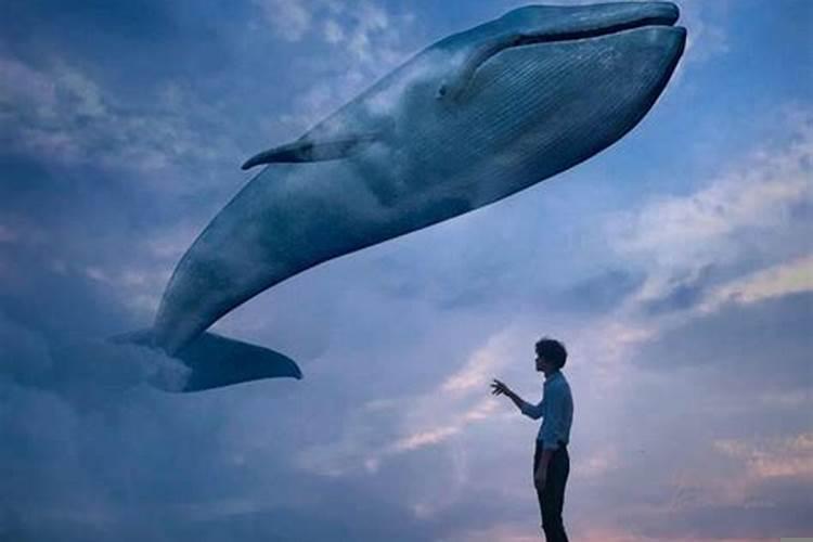 总梦见从高空坠落是怎么回事