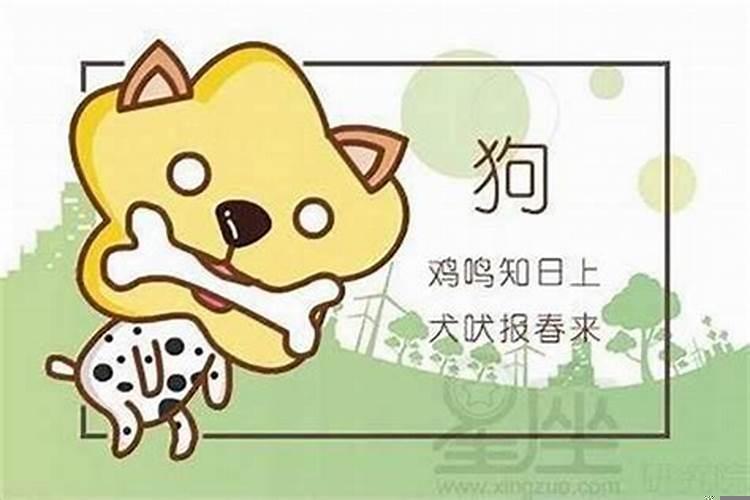 和什么属相不合