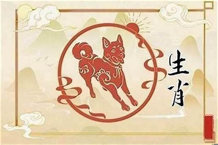 2021属狗的今年应该注意什么