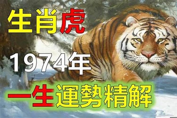 1974属虎住几楼最旺