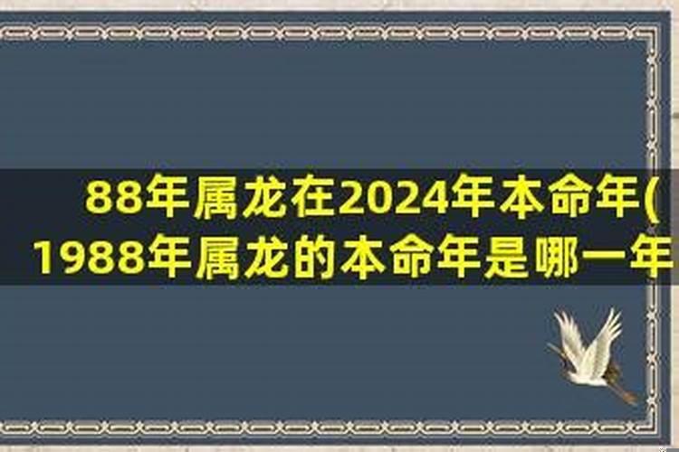 属男龙和属羊女配吗