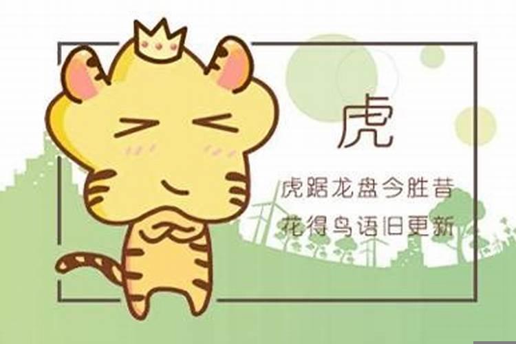 生辰八字龙和虎合吗