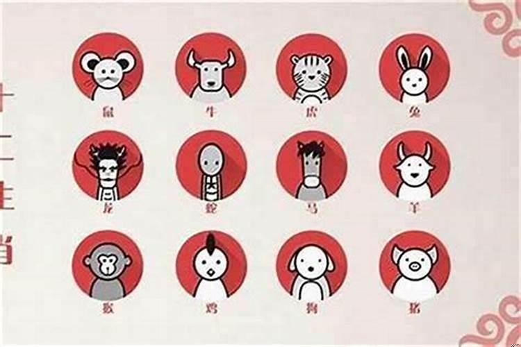 子在12生肖中指什么