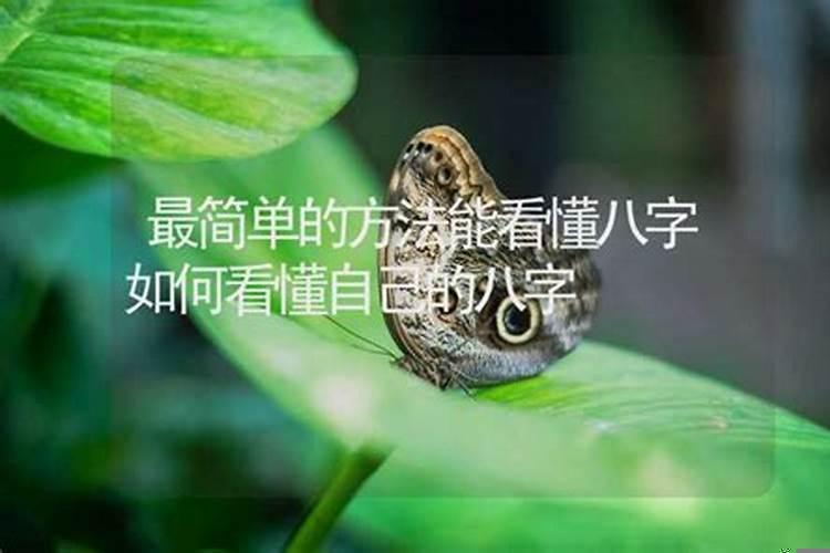 怎么看懂自己八字