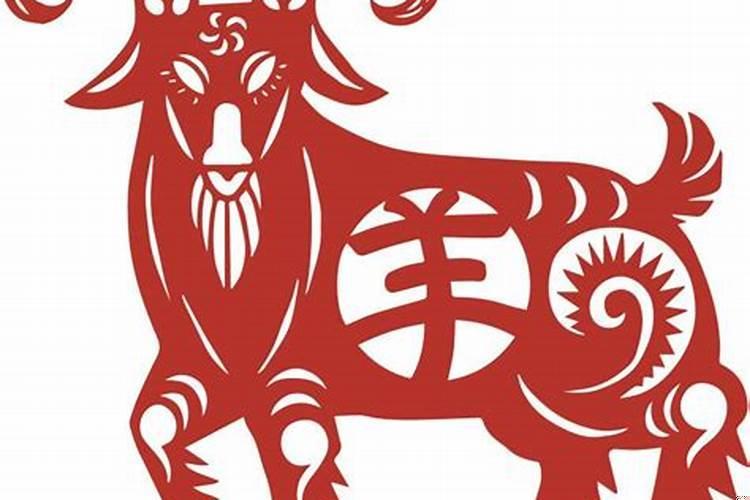 31年的羊的今年多大