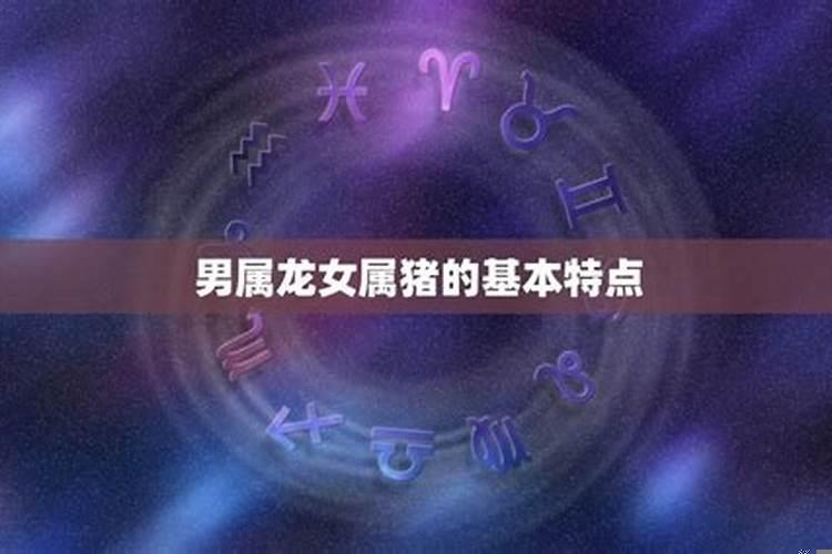 男属龙女属猪相配吗婚姻