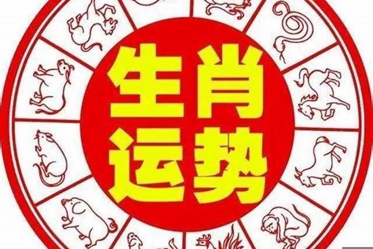 明天各生肖的运势详情