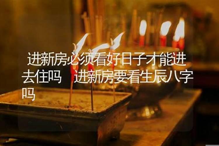 2025年那天是鼠日