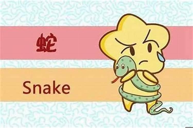 属蛇男跟属虎女今年结婚好不好