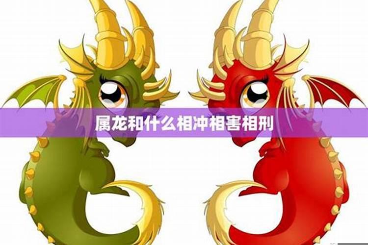 属龙属狗相冲怎么办