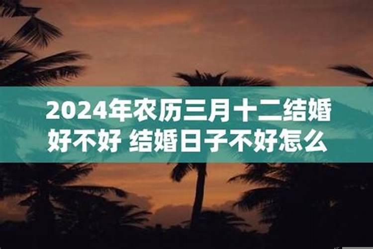 阳历单日子结婚好不好