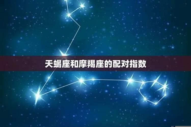 摩羯座和天蝎座配对适合程度
