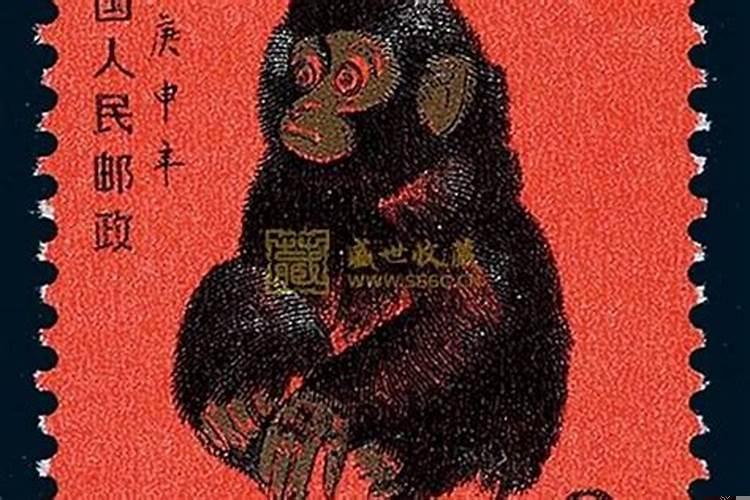 属猴1980年农历四月初八