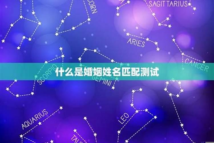 姓别婚姻是什么意思
