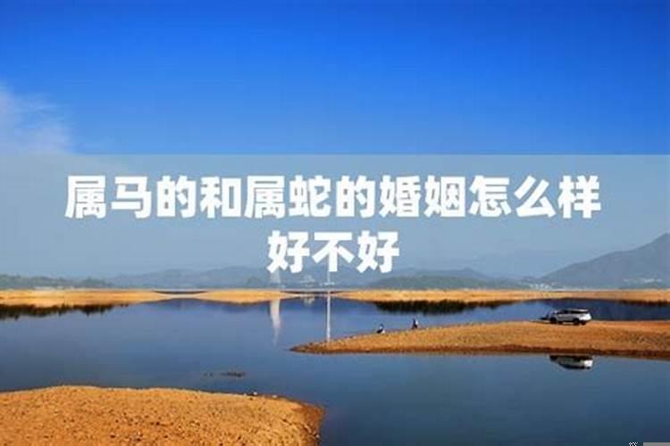 属马属蛇的婚姻好不好