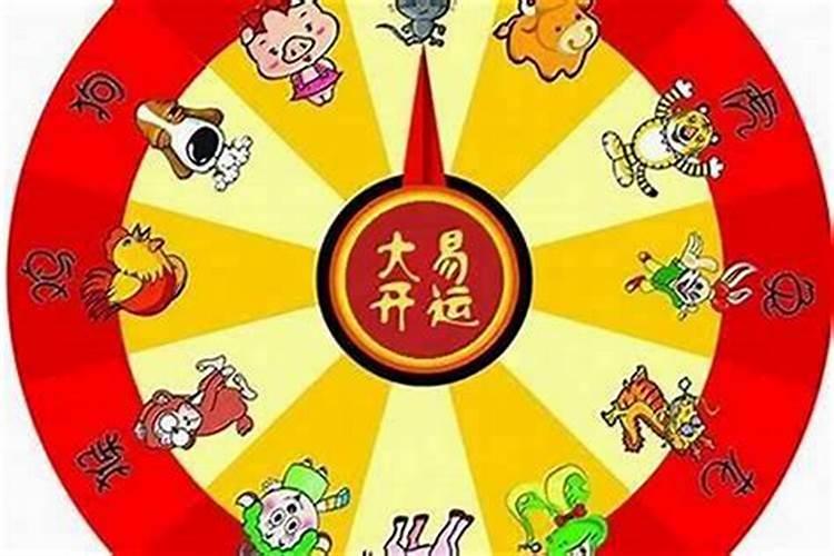 鸡年什么属相犯太岁