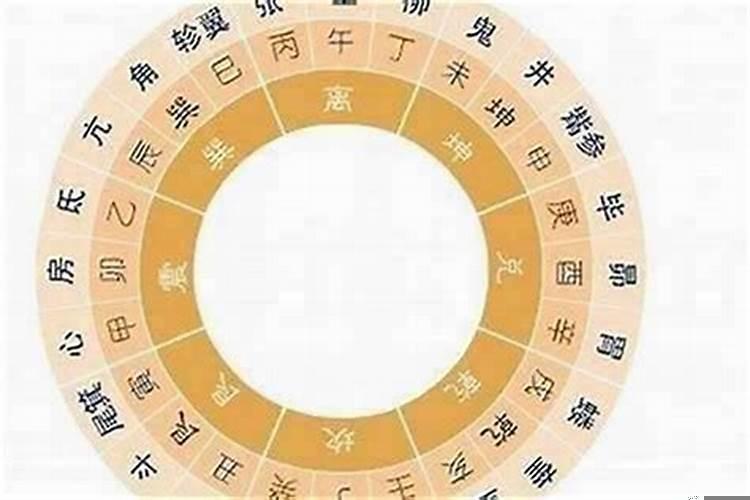 兔子妈妈生什么属相宝宝好
