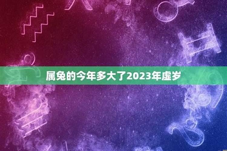 请问属兔的今年多大了