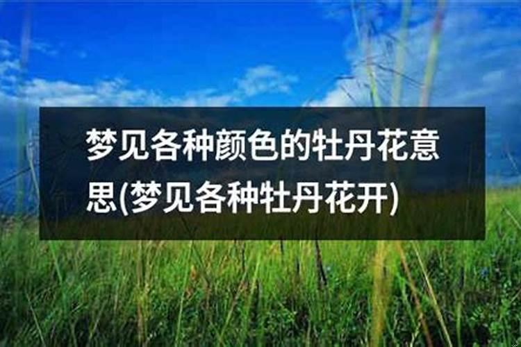 梦见各种颜色的布料