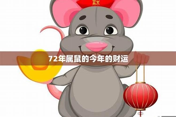 属鼠人今年财运方向