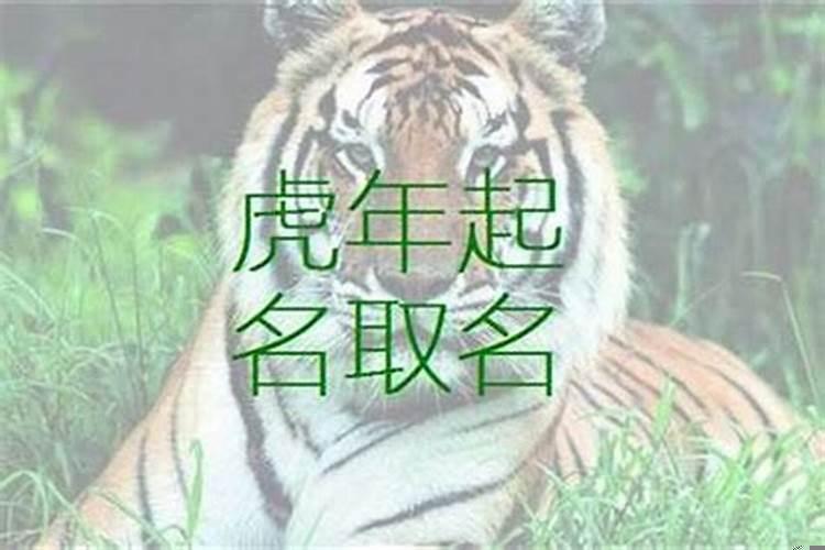 属虎人的姓名宜忌