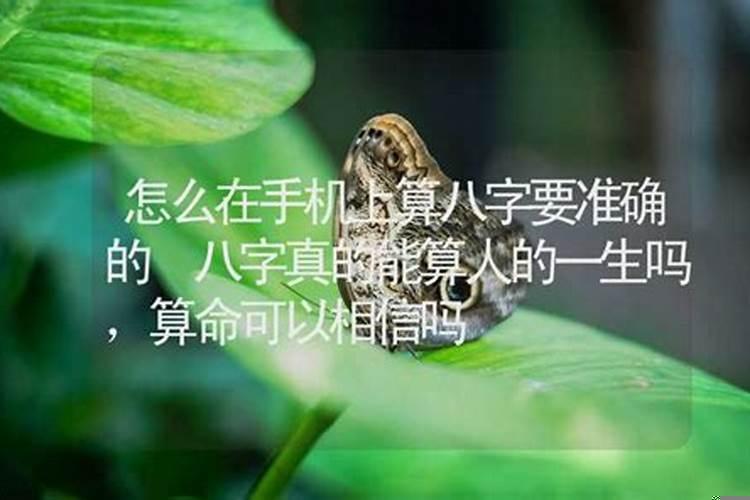 简单的招财风水