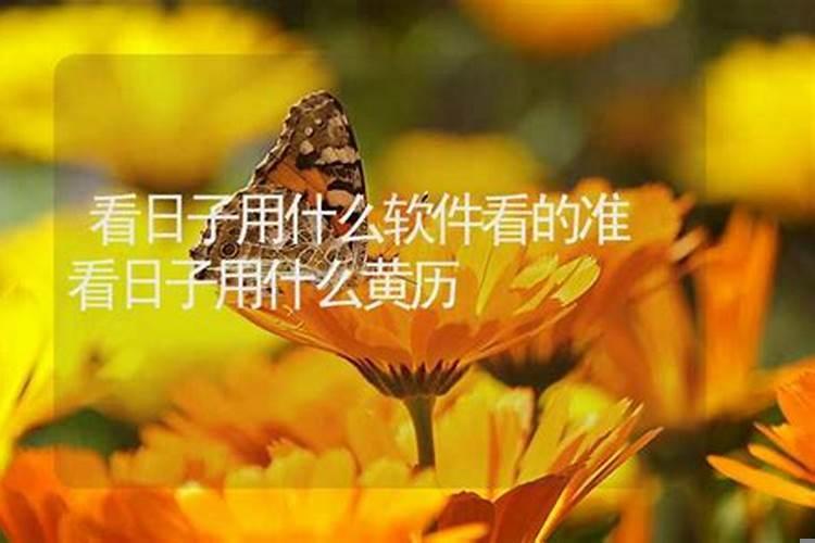 什么软件看吉日最准