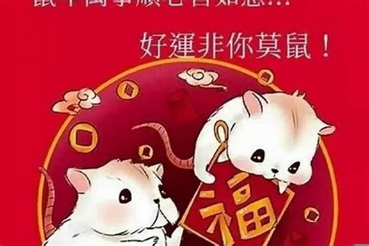 属鼠正月生的是什么命