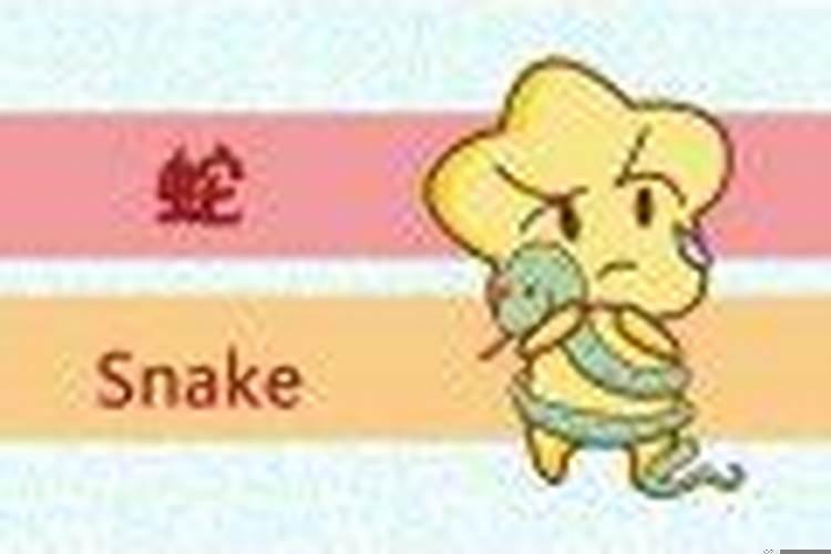 77属蛇终身忌讳颜色