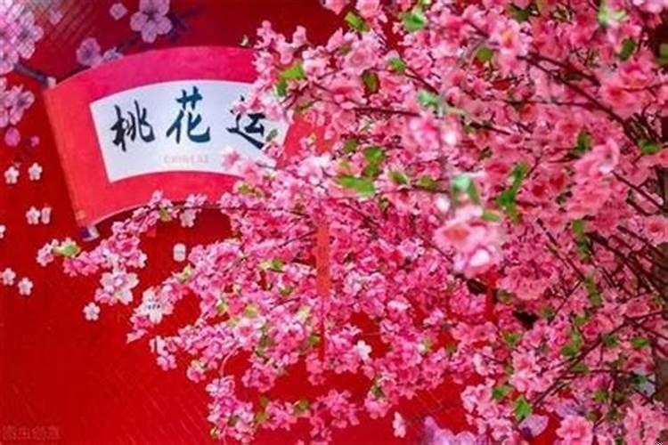 紫微斗数看流年桃花认识方式