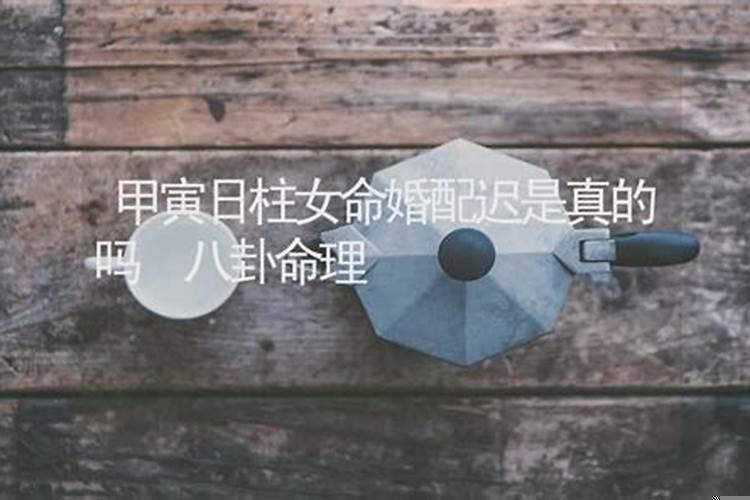 女甲寅日柱男已亥日柱合婚吗