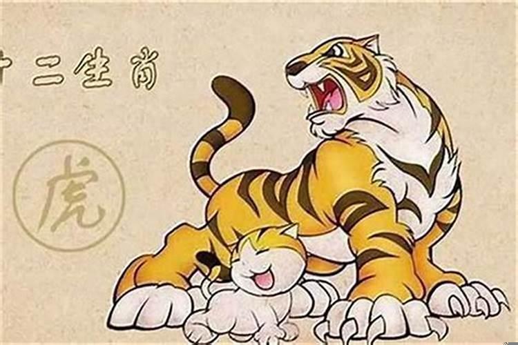 属虎的本命年需要注意什么