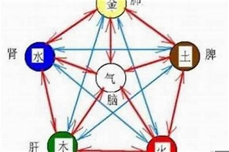 五行属木的人适合做什么生意