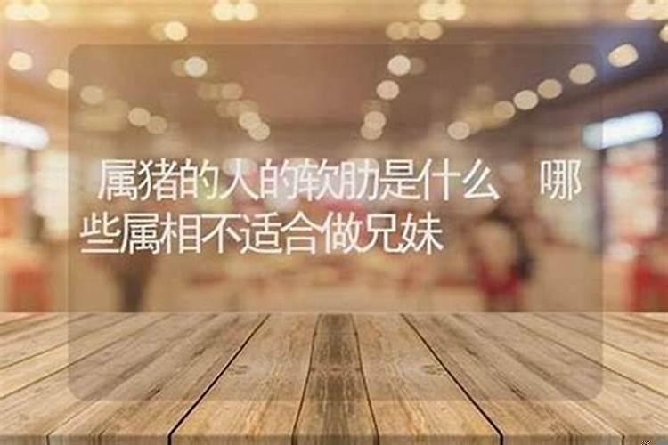 属相不和能在一起么
