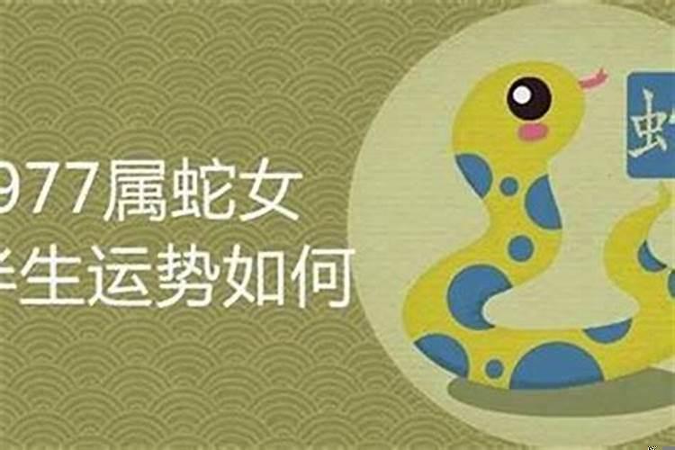 和属蛇女人做情人