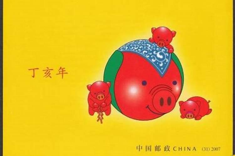 丁亥日柱好吗