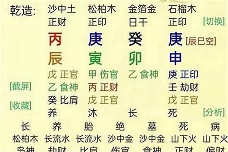 戊子庚申庚辰辛巳八字解析