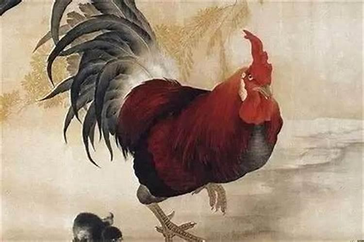 属鸡的人今年有桃花运吗