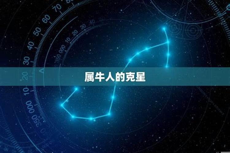 属牛怕什么生肖属牛人的克星是谁