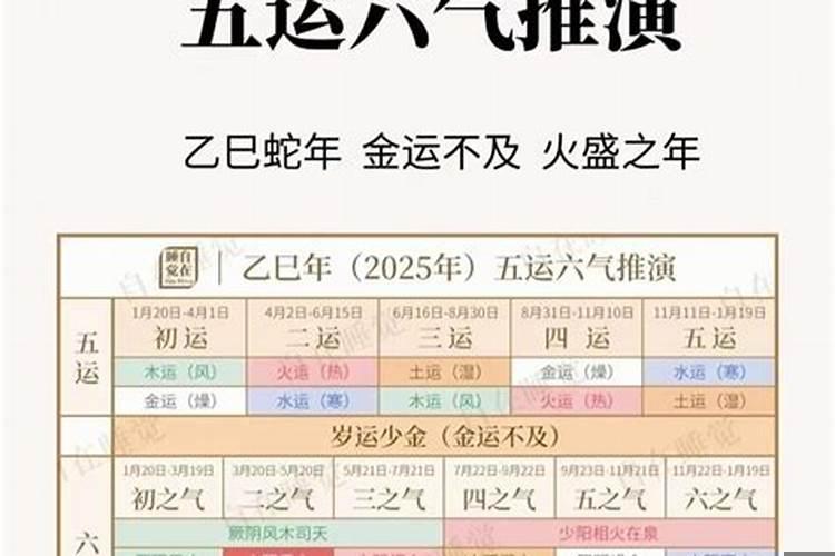 属蛇这个月考试怎么样