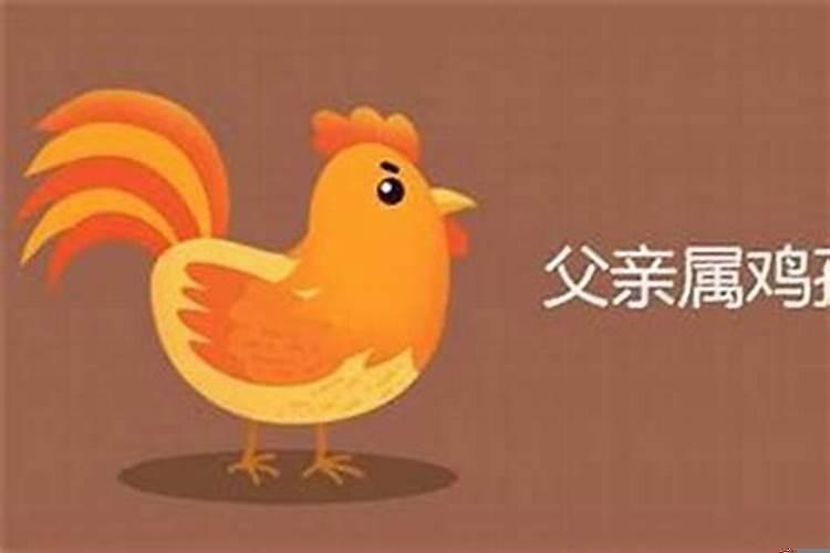 属鸡的爸属羊的妈生啥宝宝好