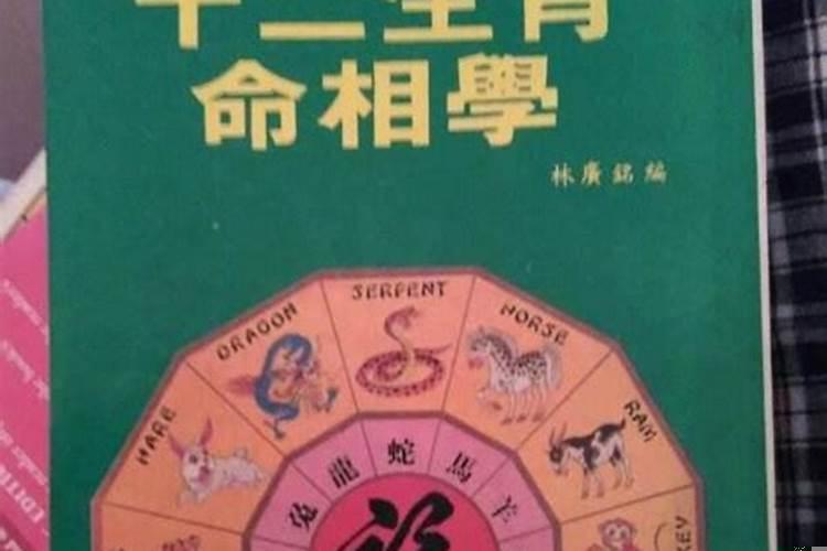 研究十二属相与人的命相
