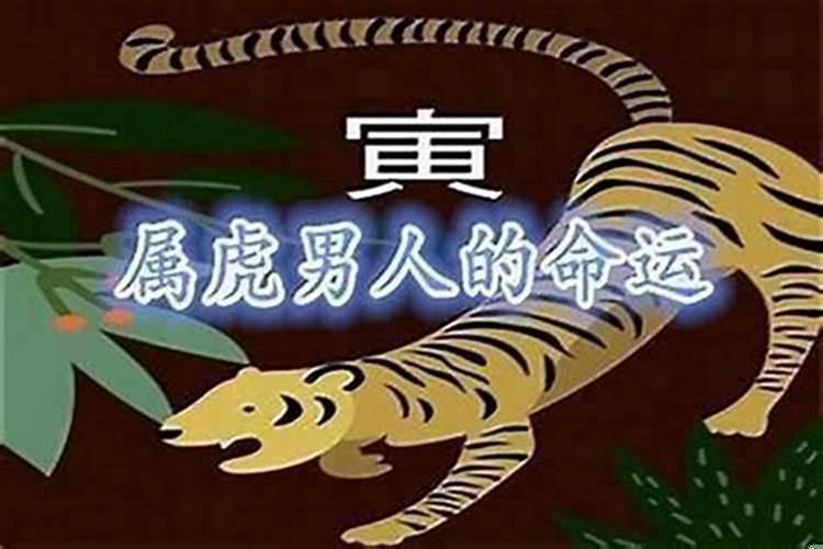 属虎的1998今年桃花运