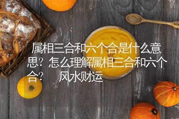 三合属相能带来什么