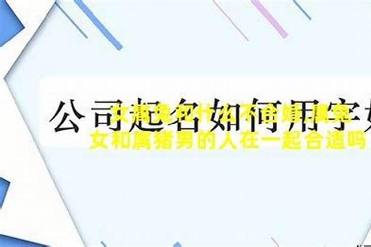 男属鼠女属兔合不合婚