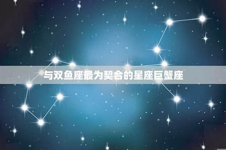 双鱼座和十二星座配对百分比