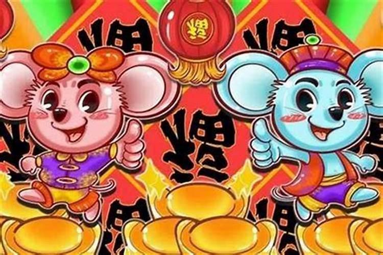 96年属鼠的今年忌讳什么