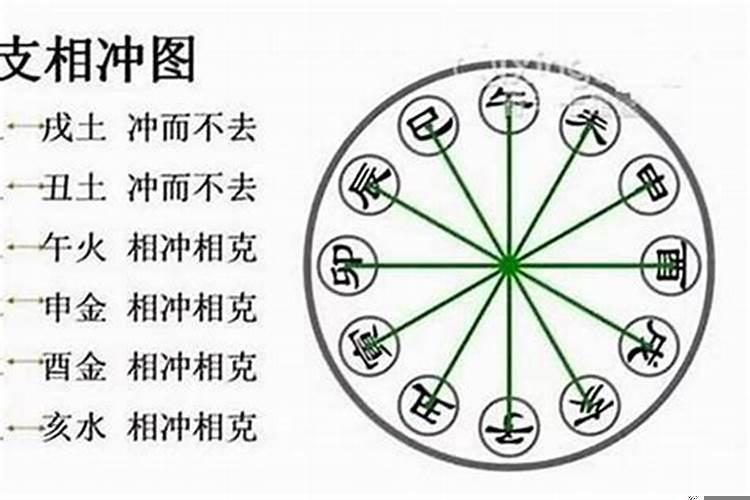 八字合婚，地支合的多
